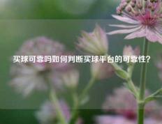 买球可靠吗如何判断买球平台的可靠性？