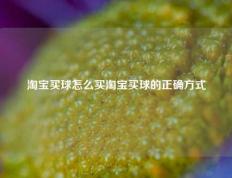 淘宝买球怎么买淘宝买球的正确方式