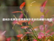 德州扑克两张底牌德州扑克中的神秘与策略