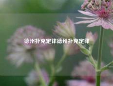 德州扑克定律德州扑克定律