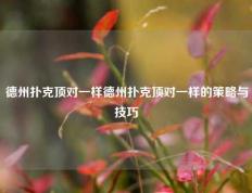 德州扑克顶对一样德州扑克顶对一样的策略与技巧