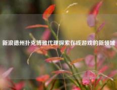 新浪德州扑克博雅代理探索在线游戏的新领域