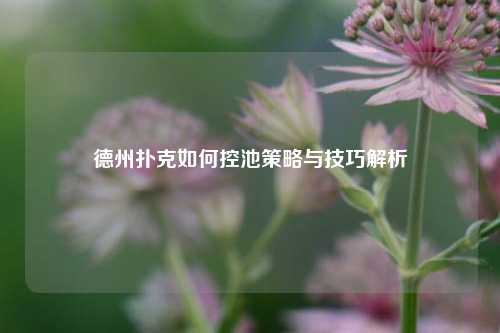 德州扑克如何控池策略与技巧解析