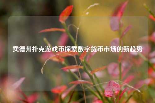 卖德州扑克游戏币探索数字货币市场的新趋势