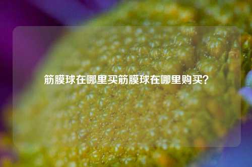 筋膜球在哪里买筋膜球在哪里购买？