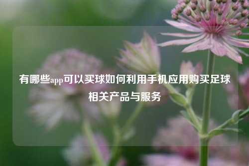 有哪些app可以买球如何利用手机应用购买足球相关产品与服务
