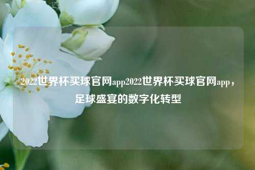 2022世界杯买球官网app2022世界杯买球官网app，足球盛宴的数字化转型