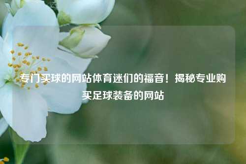 专门买球的网站体育迷们的福音！揭秘专业购买足球装备的网站