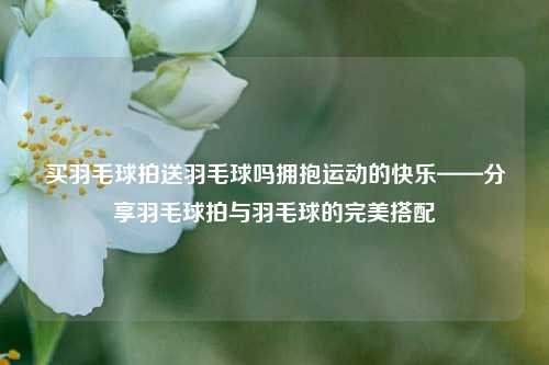 买羽毛球拍送羽毛球吗拥抱运动的快乐——分享羽毛球拍与羽毛球的完美搭配