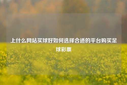 上什么网站买球好如何选择合适的平台购买足球彩票