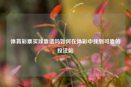 体育彩票买球靠谱吗如何在体彩中找到可靠的投注站