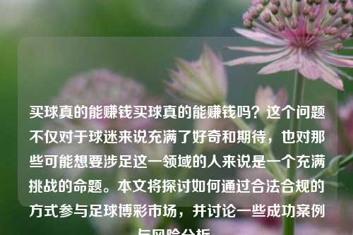 买球真的能赚钱买球真的能赚钱吗？这个问题不仅对于球迷来说充满了好奇和期待，也对那些可能想要涉足这一领域的人来说是一个充满挑战的命题。本文将探讨如何通过合法合规的方式参与足球博彩市场，并讨论一些成功案例与风险分析。