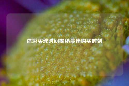 体彩买球时间揭秘最佳购买时刻