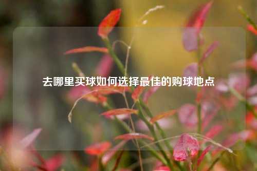 去哪里买球如何选择最佳的购球地点