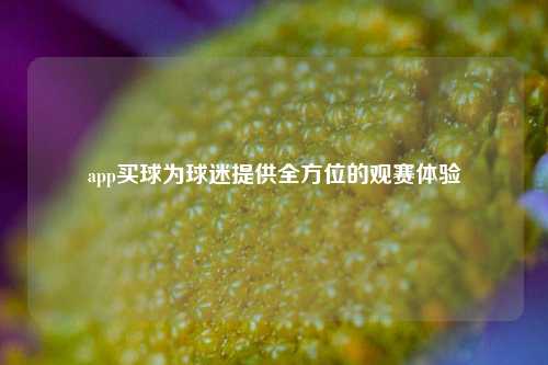 app买球为球迷提供全方位的观赛体验