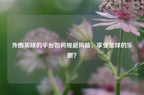 外围买球的平台如何规避风险，享受足球的乐趣？