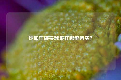 球服在哪买球服在哪里购买？