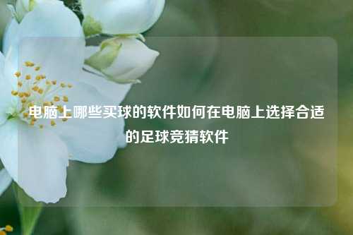 电脑上哪些买球的软件如何在电脑上选择合适的足球竞猜软件