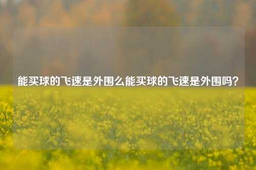 能买球的飞速是外围么能买球的飞速是外围吗？