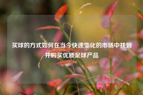 买球的方式如何在当今快速变化的市场中找到并购买优质足球产品