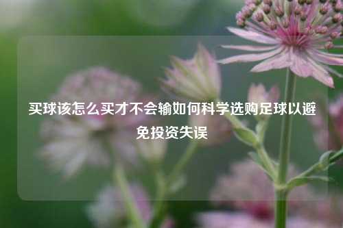 买球该怎么买才不会输如何科学选购足球以避免投资失误