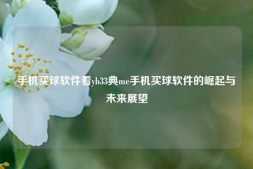 手机买球软件看yb33典me手机买球软件的崛起与未来展望