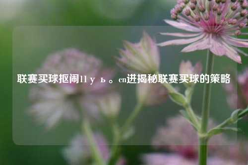 联赛买球抠闹11уь。cn进揭秘联赛买球的策略