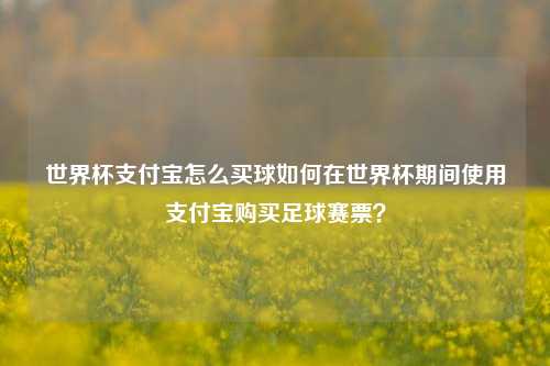世界杯支付宝怎么买球如何在世界杯期间使用支付宝购买足球赛票？
