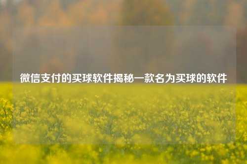 微信支付的买球软件揭秘一款名为买球的软件