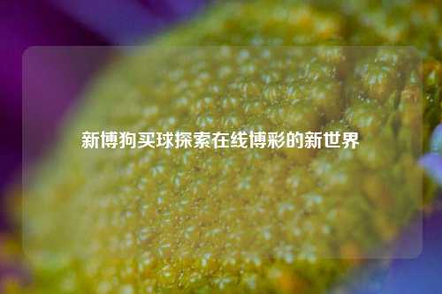 新博狗买球探索在线博彩的新世界