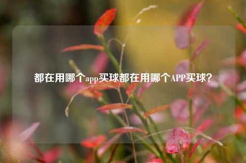 都在用哪个app买球都在用哪个APP买球？
