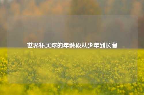 世界杯买球的年龄段从少年到长者