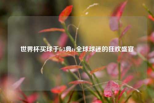 世界杯买球于fc3典tv全球球迷的狂欢盛宴
