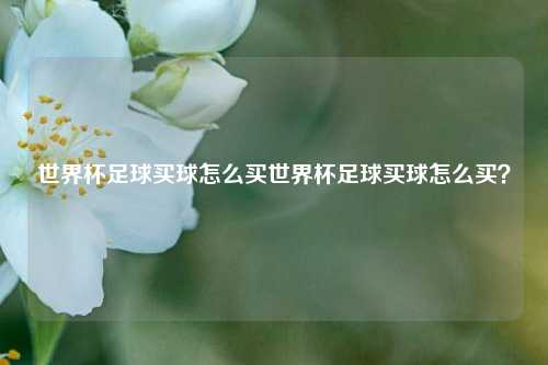 世界杯足球买球怎么买世界杯足球买球怎么买？