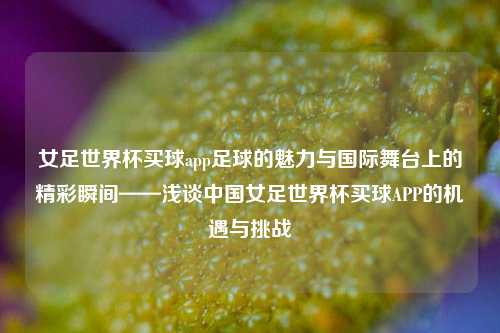 女足世界杯买球app足球的魅力与国际舞台上的精彩瞬间——浅谈中国女足世界杯买球APP的机遇与挑战