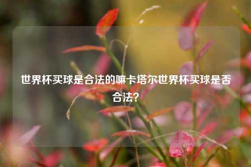 世界杯买球是合法的嘛卡塔尔世界杯买球是否合法？