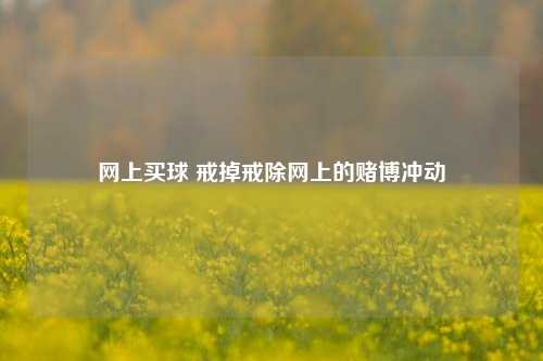 网上买球 戒掉戒除网上的赌博冲动