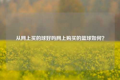 从网上买的球好吗网上购买的篮球如何？