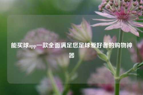 能买球app一款全面满足您足球爱好者的购物神器