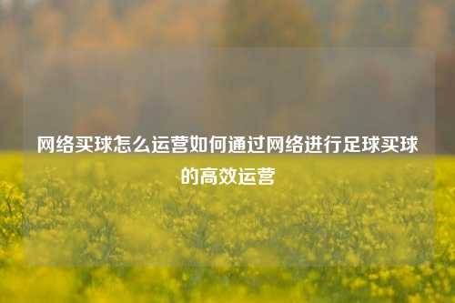 网络买球怎么运营如何通过网络进行足球买球的高效运营