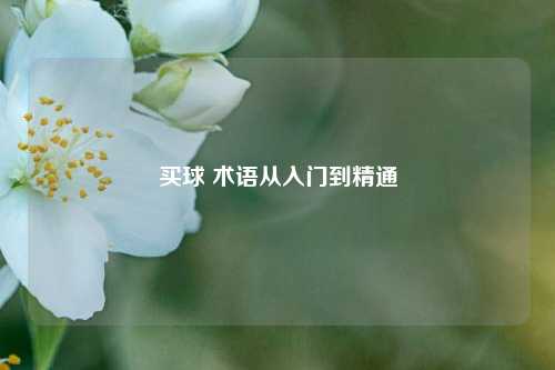 买球 术语从入门到精通