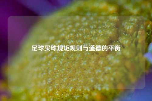 足球买球规矩规则与道德的平衡