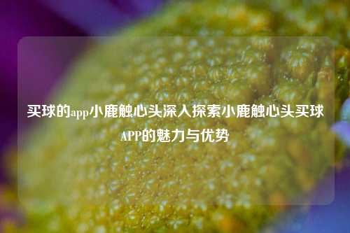 买球的app小鹿触心头深入探索小鹿触心头买球APP的魅力与优势