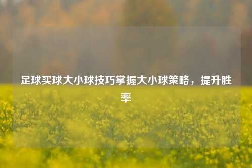 足球买球大小球技巧掌握大小球策略，提升胜率