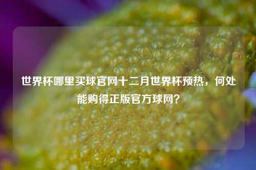 世界杯哪里买球官网十二月世界杯预热，何处能购得正版官方球网？